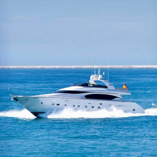 Maiora 28