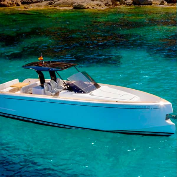 Pardo 38